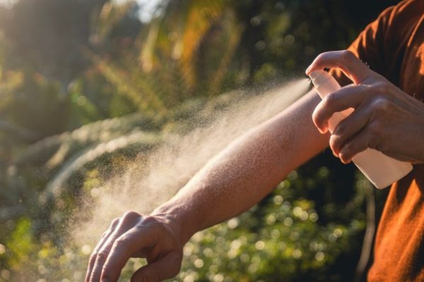 Zanzare, microbi della pelle ingegnerizzati promettono di renderci meno appetibili