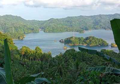 Arte rupestre, scoperta l’opera più antica dipinta 51.200 anni fa in Indonesia