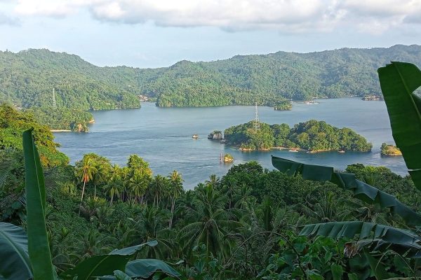 Arte rupestre, scoperta l’opera più antica dipinta 51.200 anni fa in Indonesia