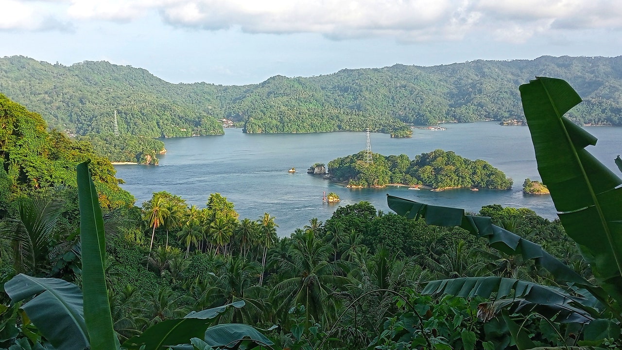 Arte rupestre, scoperta l’opera più antica dipinta 51.200 anni fa in Indonesia