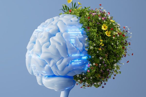 Google, le emissioni continuano ad aumentare a causa dell’AI