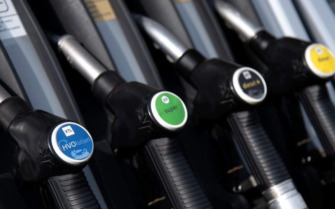 Enilive, un nuovo concetto di mobilità sostenibile