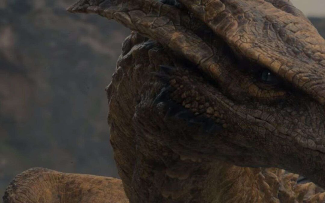 quali sono i draghi ancora senza cavalieri?