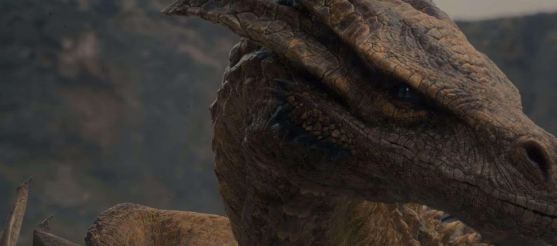 quali sono i draghi ancora senza cavalieri?