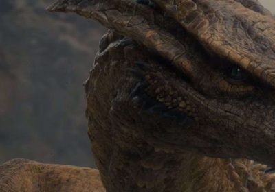 quali sono i draghi ancora senza cavalieri?