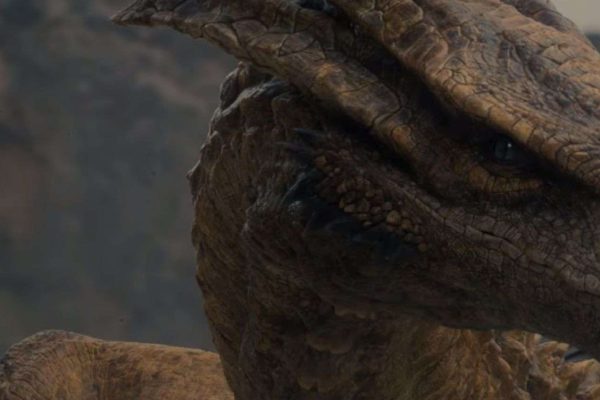 quali sono i draghi ancora senza cavalieri?