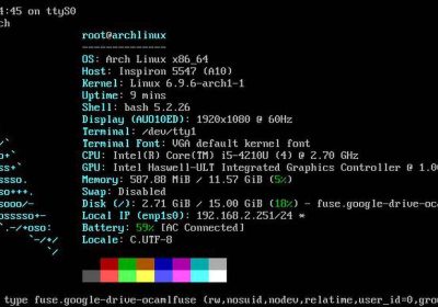 Uno sviluppatore è riuscito ad avviare Linux da Google Drive