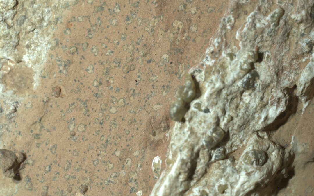 NASA Perseverance ha trovato potenziali tracce di vita microbica su Marte, serviranno altre analisi per la conferma