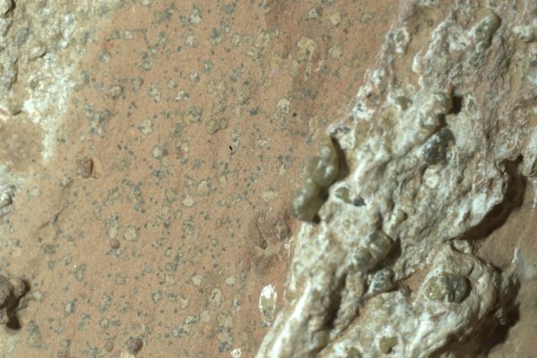 NASA Perseverance ha trovato potenziali tracce di vita microbica su Marte, serviranno altre analisi per la conferma