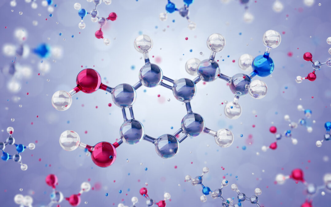 Nasce la Bologna Quantum Alliance per lo sviluppo dei computer quantistici in Italia