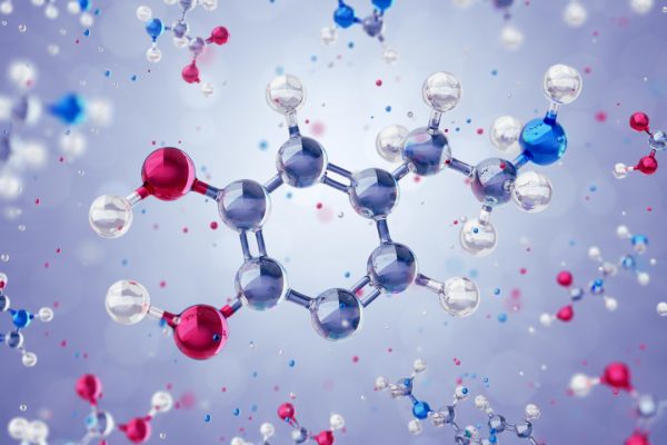 Nasce la Bologna Quantum Alliance per lo sviluppo dei computer quantistici in Italia