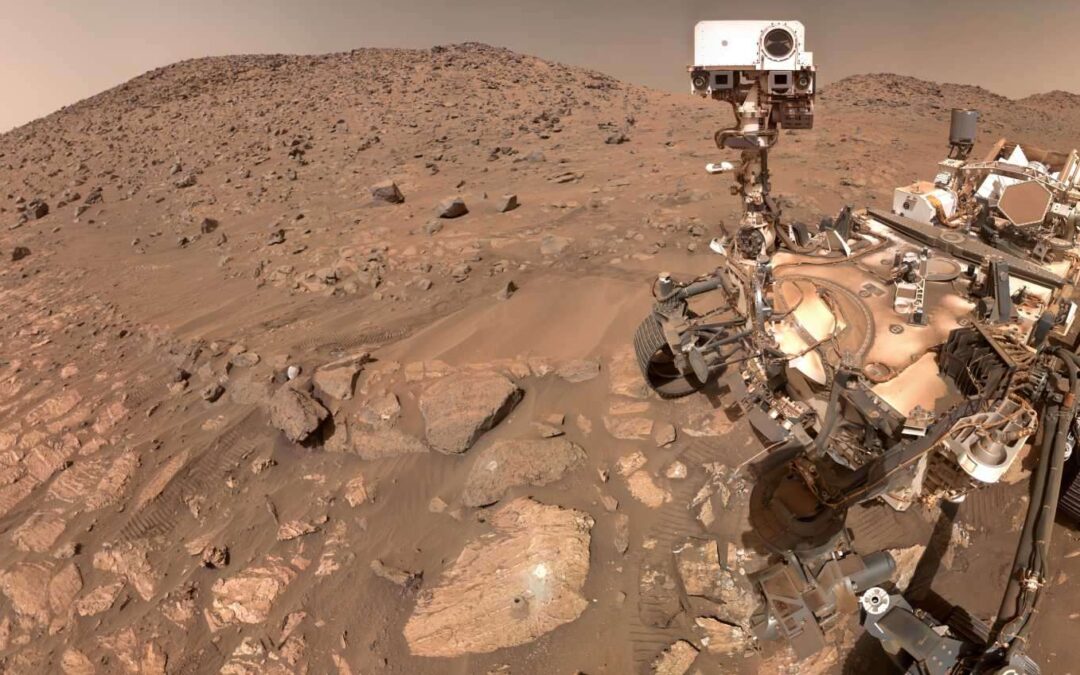 tracce di vita nel 25esimo campione?