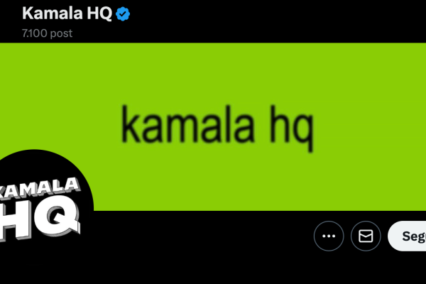 Kamala Harris è brat, la spiegazione della frase virale