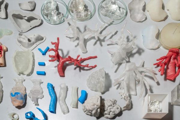 Stampa 3D di organi umani, nasce in Italia il primo laboratorio