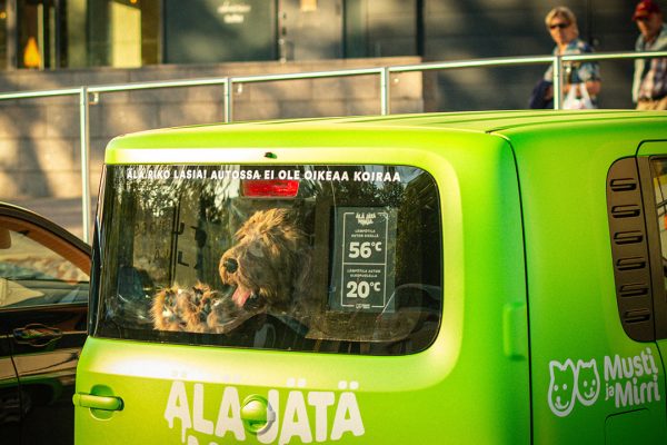 Un cane robot simula il colpo di calore, così Musti sensibilizza sui rischi di un'auto rovente