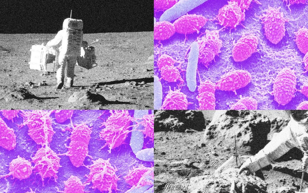 Luna, dobbiamo capire come fare la cacca