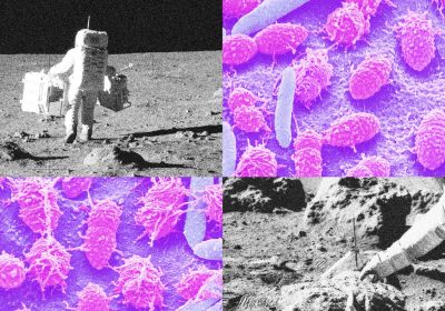 Luna, dobbiamo capire come fare la cacca