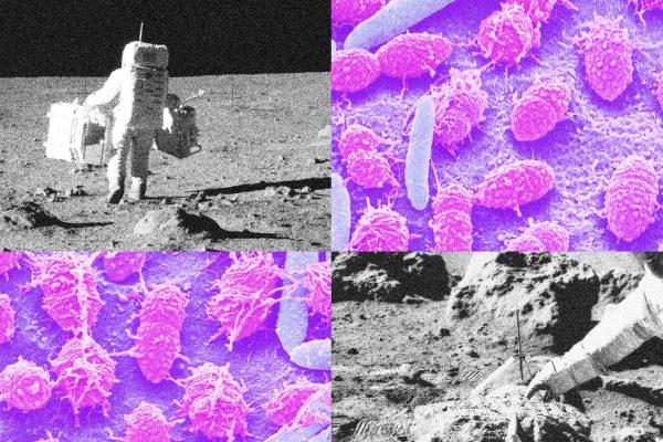 Luna, dobbiamo capire come fare la cacca