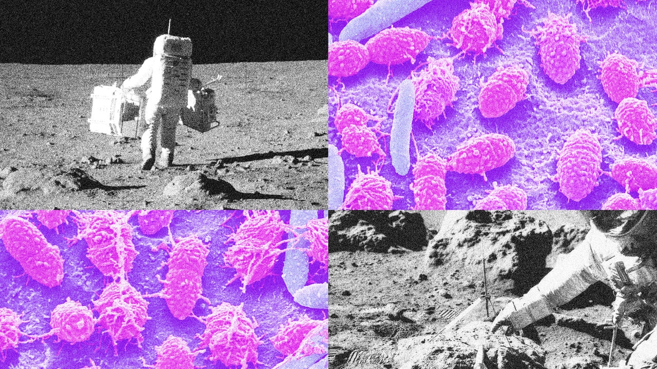 Luna, dobbiamo capire come fare la cacca