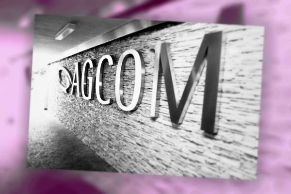 relazione sulle attività svolte in un anno