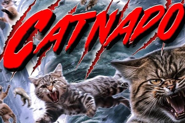 Catnado, dopo Sharknado ora i tornado portano in giro una pioggia di gattini assassini