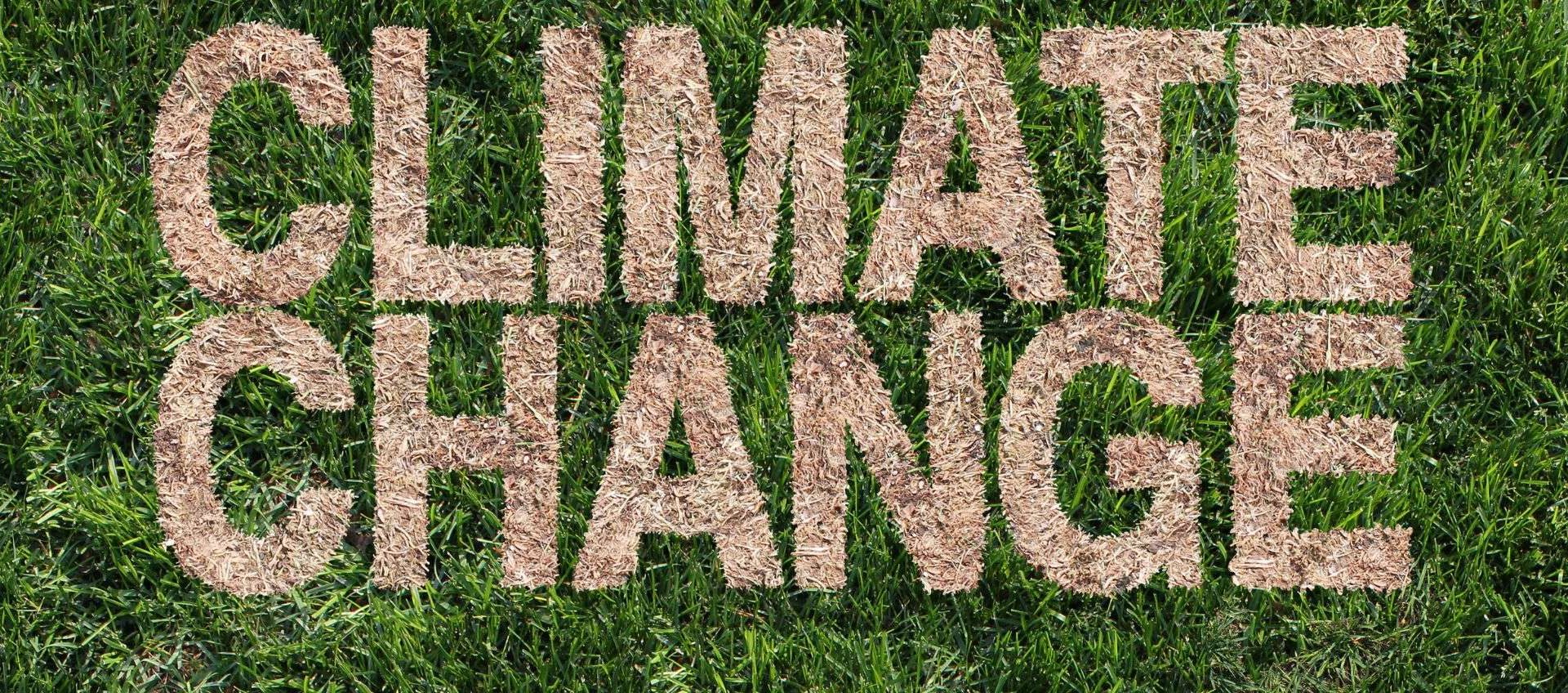 Chatbot AI del Washington Post risponde a domande sul clima