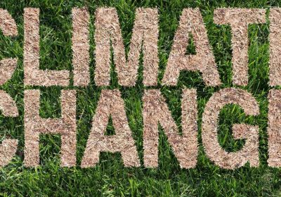 Chatbot AI del Washington Post risponde a domande sul clima