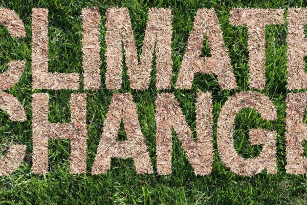 Chatbot AI del Washington Post risponde a domande sul clima