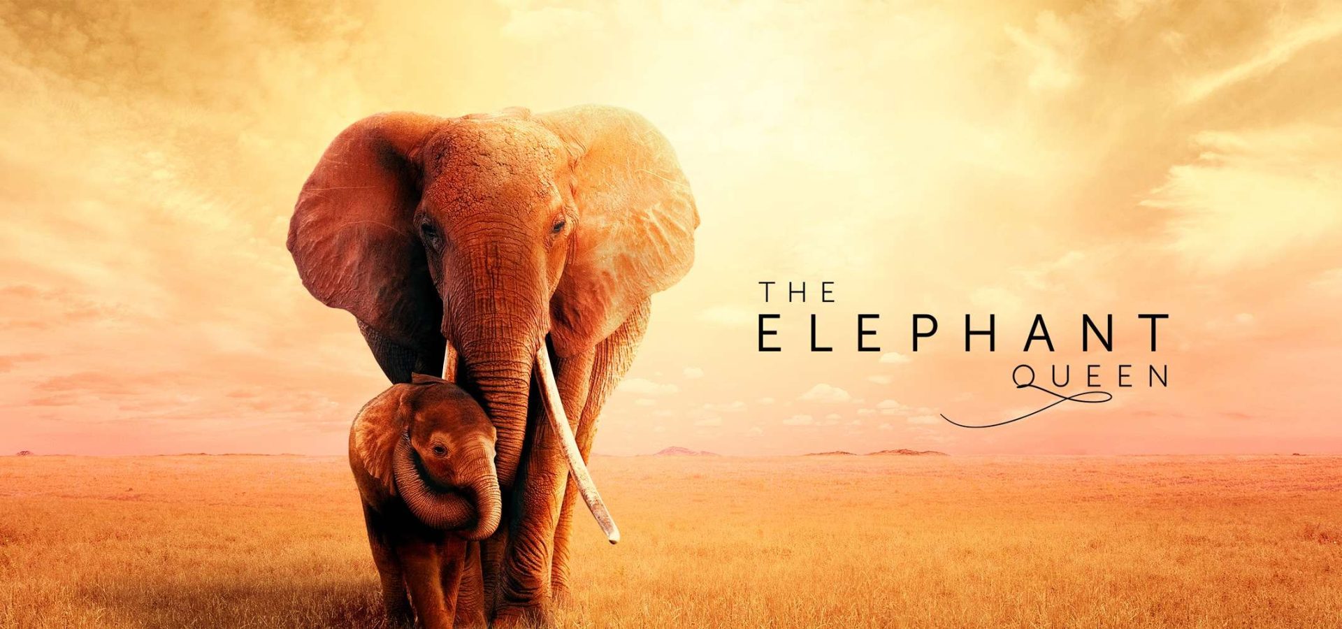 i migliori documentari da guardare in streaming oggi