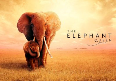 i migliori documentari da guardare in streaming oggi