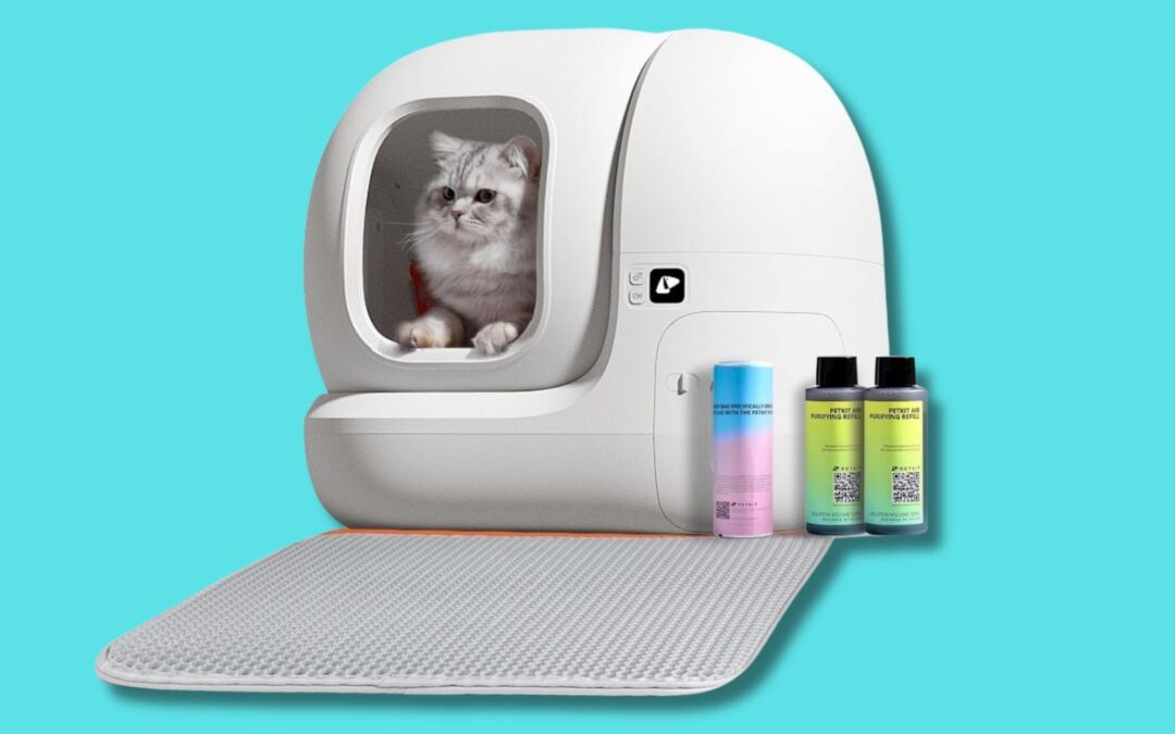 6 lettiere autopulenti che fanno sparire magicamente i bisogni del tuo gatto