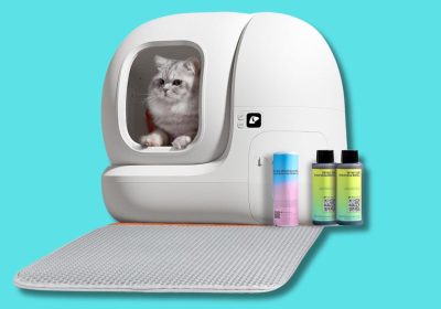 6 lettiere autopulenti che fanno sparire magicamente i bisogni del tuo gatto
