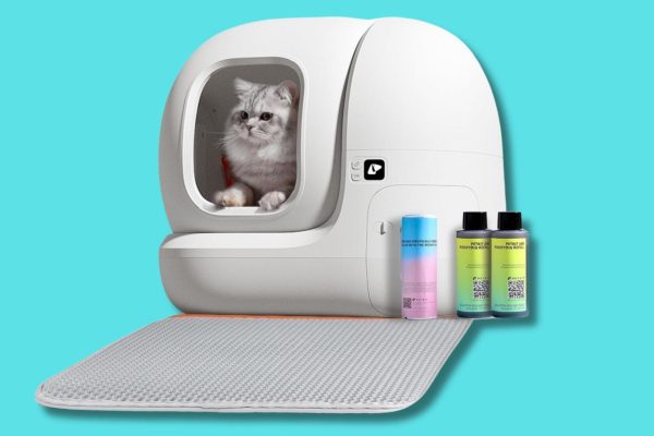 6 lettiere autopulenti che fanno sparire magicamente i bisogni del tuo gatto