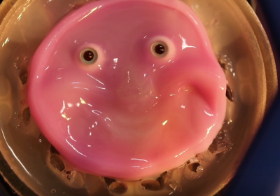 Robot, l’inquietante pelle artificiale che li fa sorridere