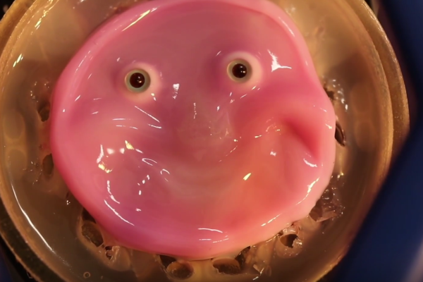 Robot, l’inquietante pelle artificiale che li fa sorridere