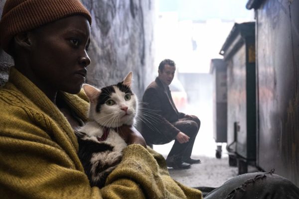 A Quiet Place: Giorno 1, la vera star è un gatto (anzi due)