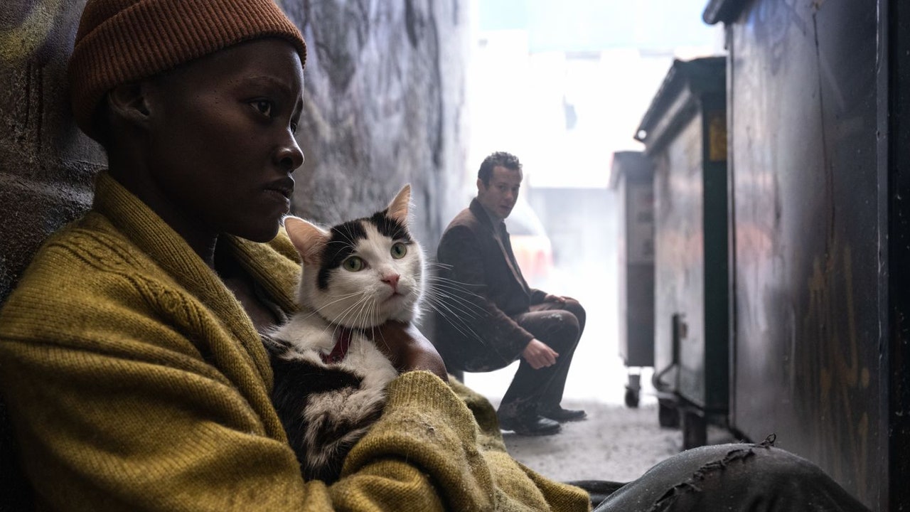 A Quiet Place: Giorno 1, la vera star è un gatto (anzi due)