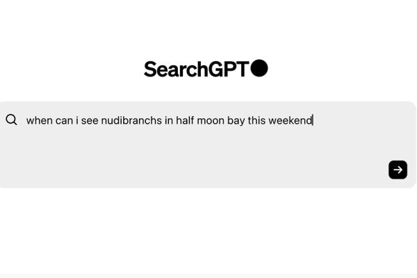 SearchGPT è il motore di ricerca di OpenAI che sfida Google