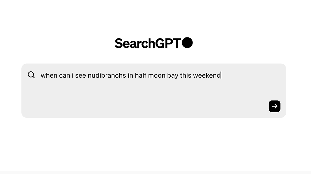 SearchGPT è il motore di ricerca di OpenAI che sfida Google