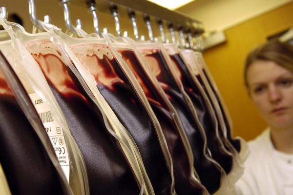 Trasfusione di sangue sbagliata, cosa succede e come si interviene