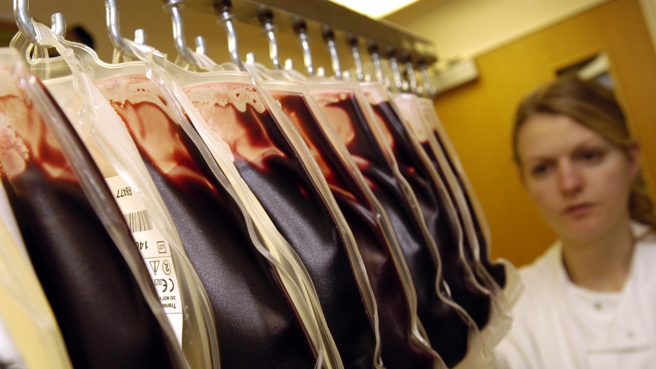 Trasfusione di sangue sbagliata, cosa succede e come si interviene