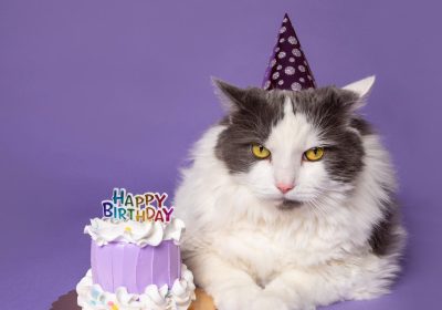 Tumore, compiere gli anni con il cancro