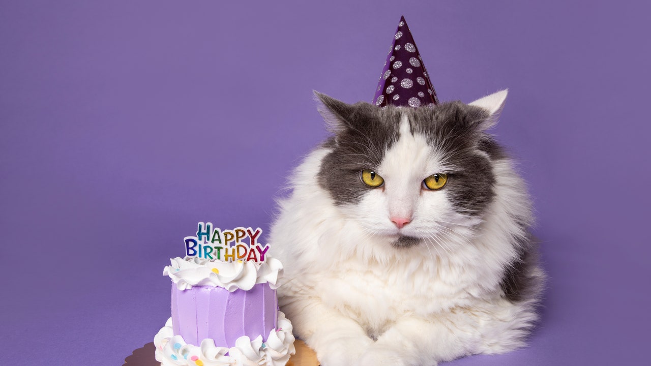 Tumore, compiere gli anni con il cancro