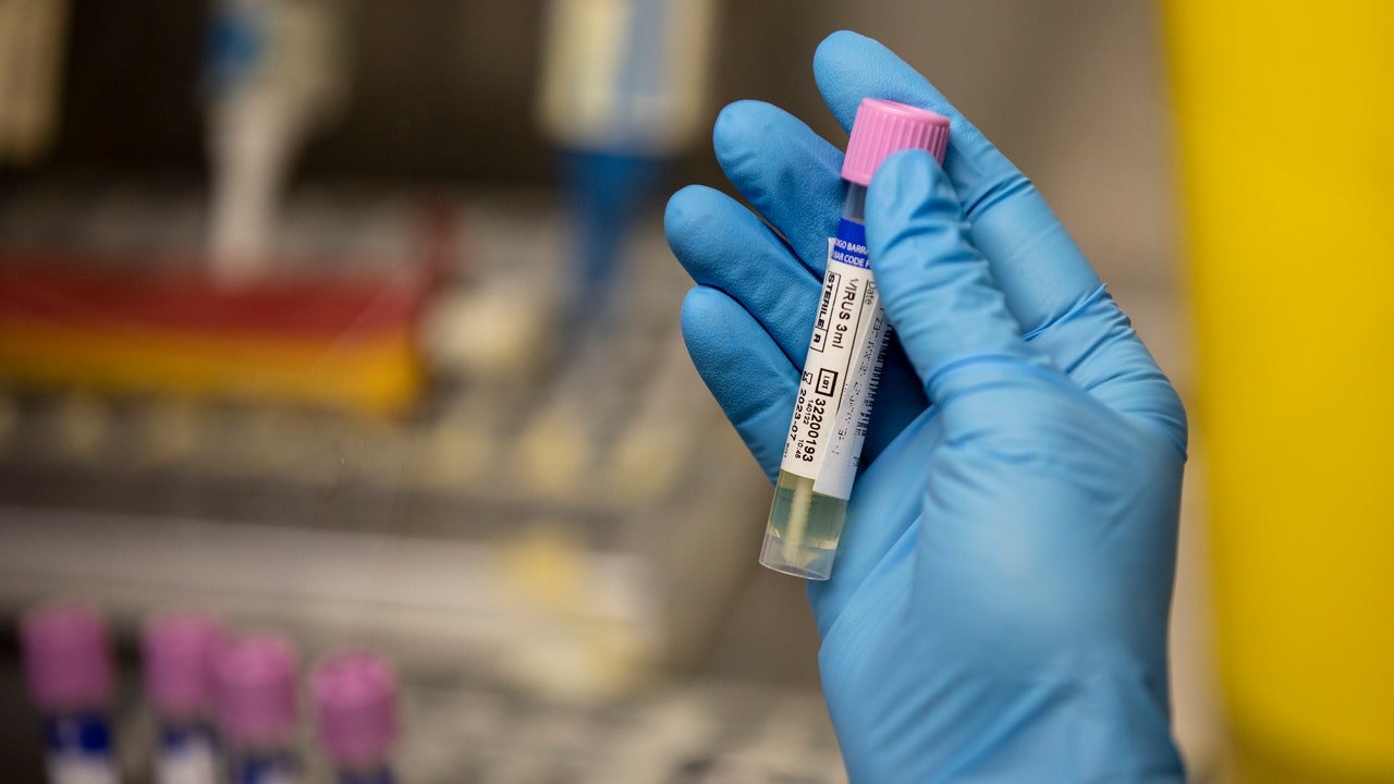 Il vaiolo delle scimmie è diventato un’emergenza sanitaria in Africa