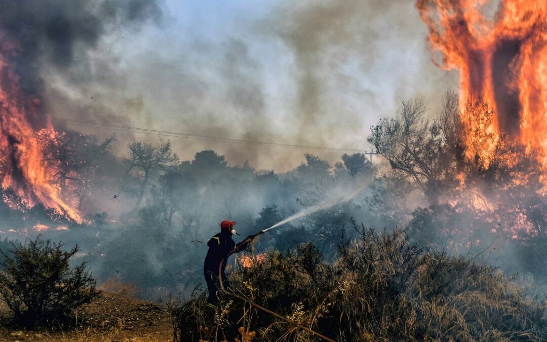 Il caldo estremo ha causato la morte di 50mila persone in Europa