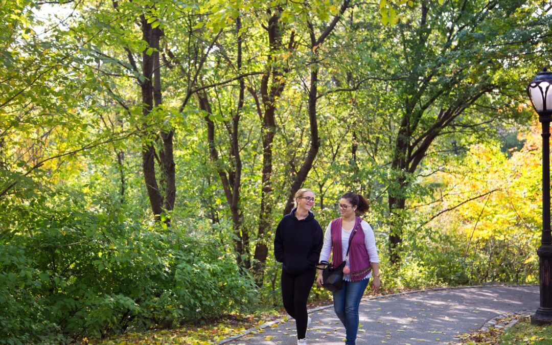 Salute mentale, la psicologia ambientale spiega come stare in mezzo al verde la migliora, anche in città