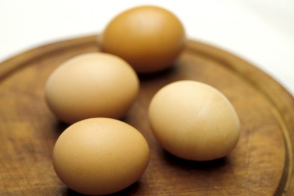 Salmonella, quali sono i pericoli e come ridurre il rischio di infezione