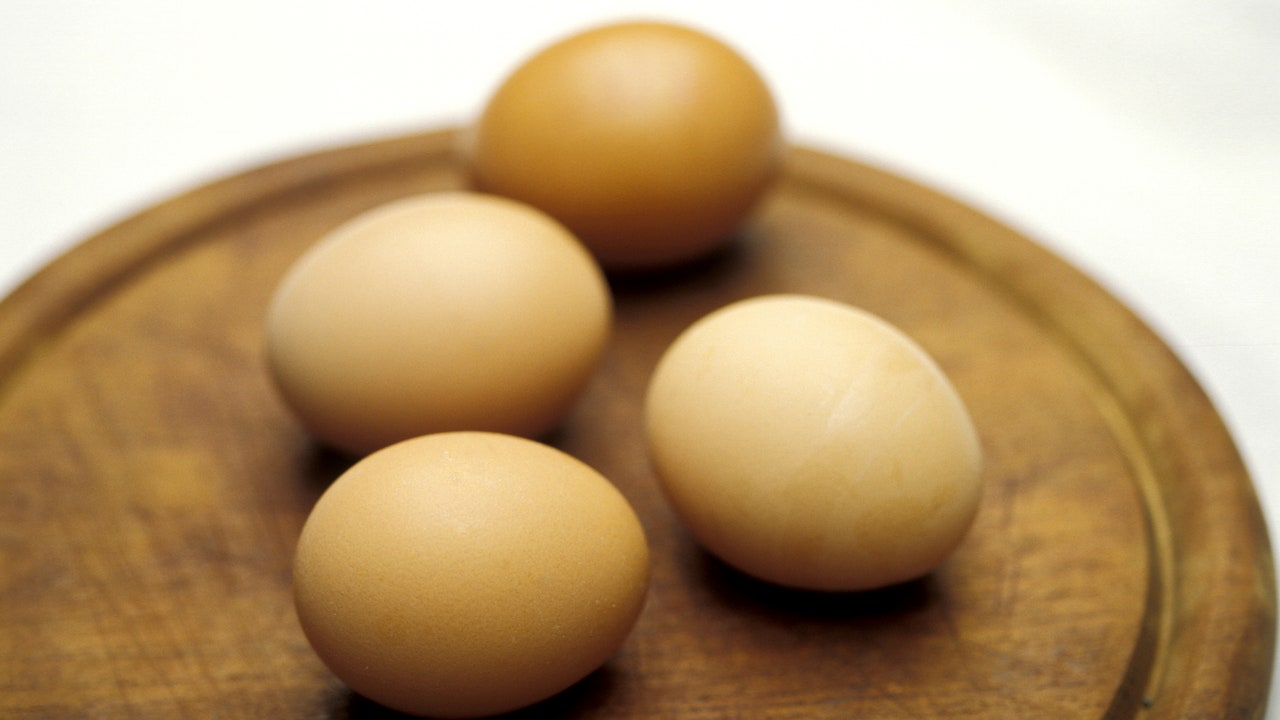 Salmonella, quali sono i pericoli e come ridurre il rischio di infezione