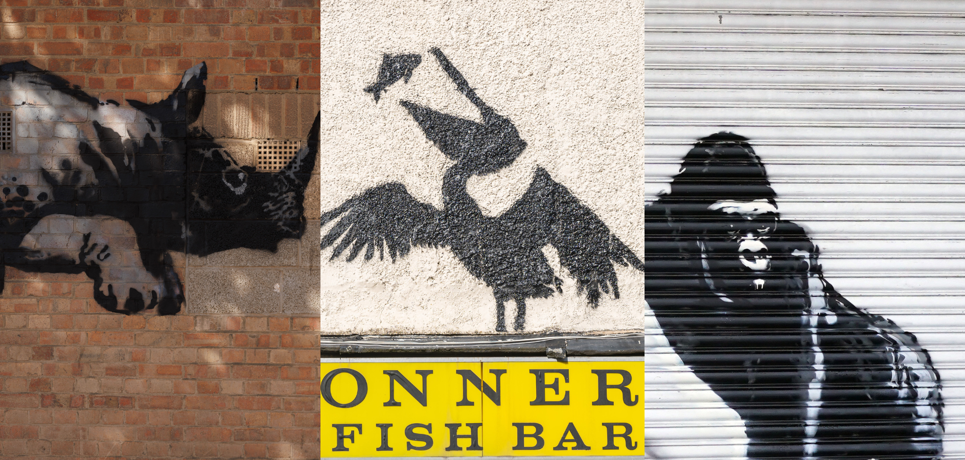 Banksy, le foto dello “zoo” di Londra