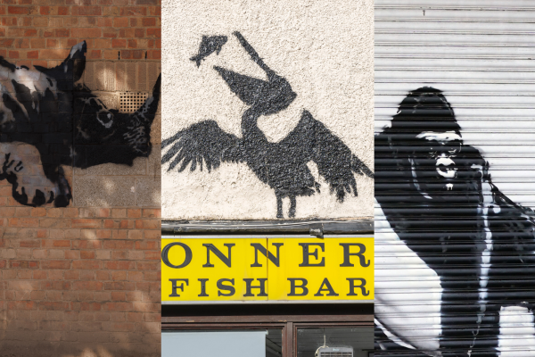 Banksy, le foto dello “zoo” di Londra